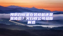 預(yù)防白蟻是在裝修前還是裝修后？滅白蟻公司給你解惑