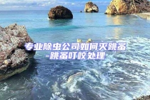 專業(yè)除蟲公司如何滅跳蚤-跳蚤叮咬處理