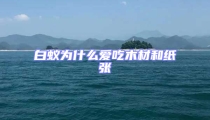 白蟻為什么愛吃木材和紙張