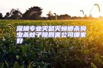 深圳專業(yè)滅鼠滅蟑螂殺臭蟲殺蚊子除四害公司哪家好
