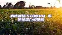 我市香樟下安裝IPM 監(jiān)控地表白蟻活動