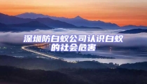 深圳防白蟻公司認(rèn)識(shí)白蟻的社會(huì)危害