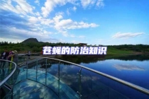 蒼蠅的防治知識