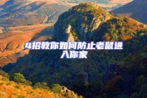 4招教你如何防止老鼠進(jìn)入你家