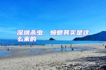 深圳殺蟲：蟑螂其實是這么來的