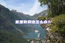 家里有臭蟲怎么辦？