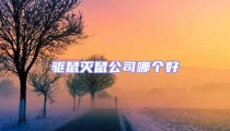 驅(qū)鼠滅鼠公司哪個好