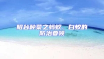 陽臺(tái)種菜之螞蟻、白蟻的防治要領(lǐng)