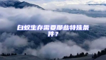 白蟻生存需要那些特殊條件？