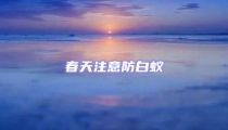 春天注意防白蟻