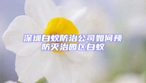 深圳白蟻防治公司如何預(yù)防滅治園區(qū)白蟻