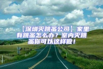 【深圳滅跳蚤公司】家里有跳蚤怎么辦？室內(nèi)滅跳蚤你可以這樣做！