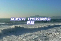 殺蟲公司 讓螞蟻蟑螂去無(wú)蹤