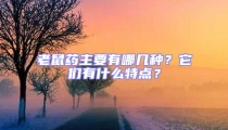 老鼠藥主要有哪幾種？它們有什么特點(diǎn)？