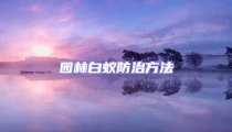 園林白蟻防治方法
