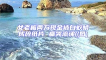 女老板兩萬現(xiàn)金被白蟻啃成碎紙片 痛哭流涕((圖)