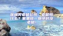 深圳滅老鼠公司：老鼠怕什么？家里放一物絕對沒老鼠！