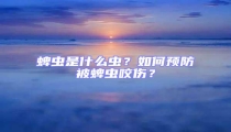 蜱蟲是什么蟲？如何預(yù)防被蜱蟲咬傷？