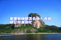 家里有蟑螂怎么辦？殺蟑螂公司來(lái)幫忙