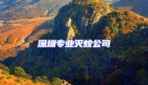 深圳專業(yè)滅蚊公司