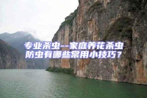 專業(yè)殺蟲--家庭養(yǎng)花殺蟲防蟲有哪些常用小技巧？