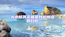大水蟻其實(shí)就是我們所說的白蟻