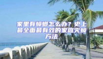 家里有蟑螂怎么辦？史上最全面最有效的家庭滅蟑方法