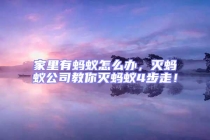 家里有螞蟻怎么辦，滅螞蟻公司教你滅螞蟻4步走！