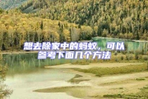 想去除家中的螞蟻，可以參考下面幾個(gè)方法