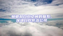 蟑螂和白蟻之間的聯(lián)系，深圳白蟻防治公司
