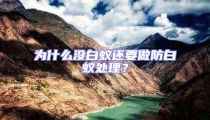 為什么沒(méi)白蟻還要做防白蟻處理？