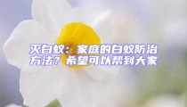 滅白蟻：家庭的白蟻防治方法？希望可以幫到大家
