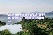 網(wǎng)吧里滅蟑螂的方法,最好的蟑螂藥，最有效的蟑螂藥