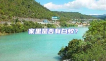 家里是否有白蟻？