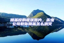 跳蚤咬的癥狀圖片，殺蟲公司教你跳蚤怎么消滅