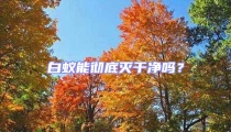 白蟻能徹底滅干凈嗎？