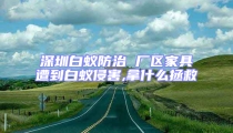 深圳白蟻防治 廠區(qū)家具遭到白蟻侵害,拿什么拯救