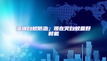 深圳白蟻防治；現(xiàn)在滅白蟻?zhàn)詈脮r(shí)機(jī)