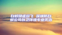 白蟻肆虐紛飛 深圳防白蟻公司創(chuàng)衛(wèi)環(huán)境專業(yè)滅治