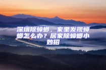 深圳除蟑螂，家里發(fā)現(xiàn)蟑螂怎么辦？居家除蟑螂小妙招