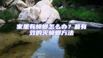 家里有蟑螂怎么辦？最有效的滅蟑螂方法