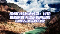 深圳白蟻防治公司：討論白蟻族群滅治系統(tǒng)防治保國寺古建筑群白蟻