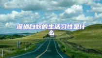 深圳白蟻的生活習(xí)性是什么