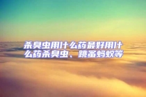 殺臭蟲用什么藥最好用什么藥殺臭蟲、跳蚤螞蟻等