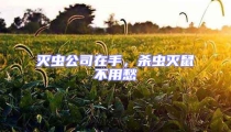 滅蟲(chóng)公司在手，殺蟲(chóng)滅鼠不用愁