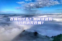 蒼蠅怕什么？如何快速有效的消滅蒼蠅？