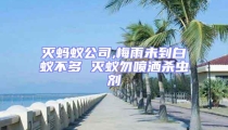 滅螞蟻公司,梅雨未到白蟻不多 滅蟻勿噴灑殺蟲劑