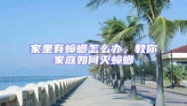 家里有蟑螂怎么辦，教你家庭如何滅蟑螂