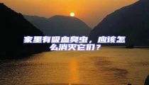 家里有吸血臭蟲，應(yīng)該怎么消滅它們？