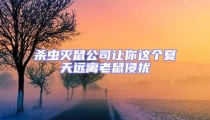 殺蟲滅鼠公司讓你這個夏天遠(yuǎn)離老鼠侵?jǐn)_